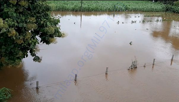 Krishna river water coming into our village