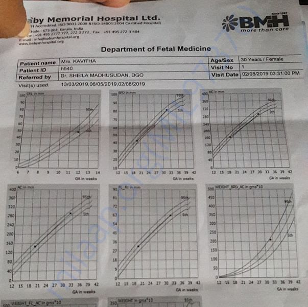 Medical Report
