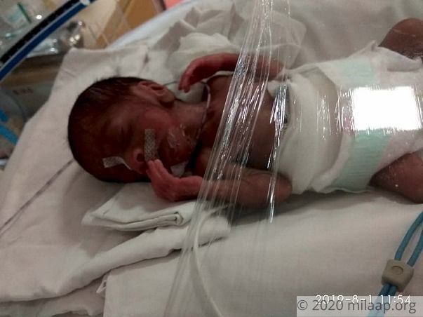 Baby-of-Hena-Parveen