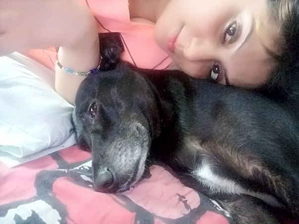 Fund Raising Campaign For Animal Care