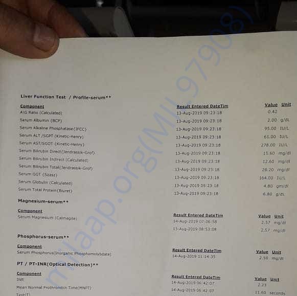 Medical Report