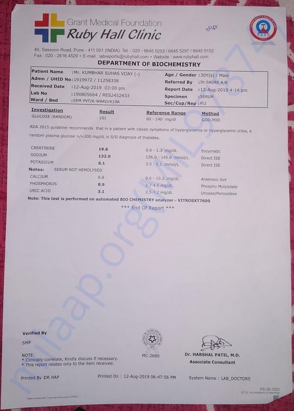 Creatinine Report
