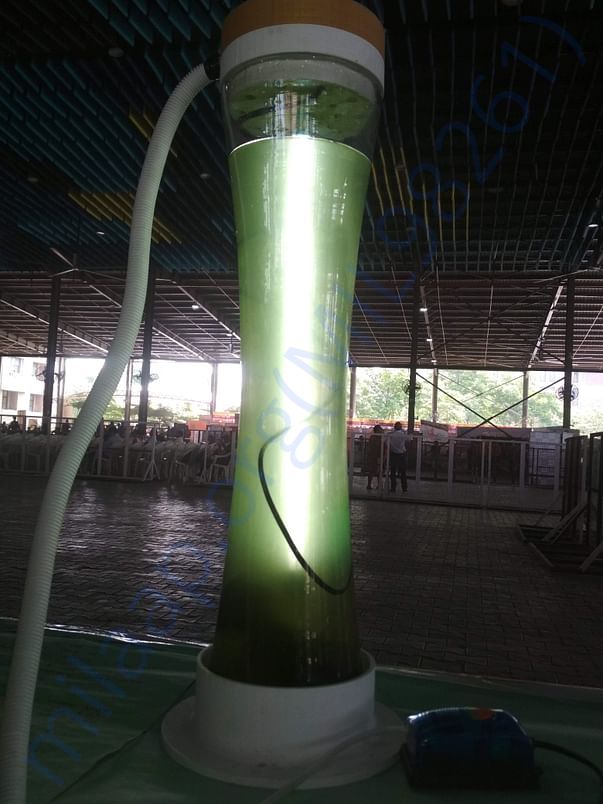Future of life(Natural air purifier )