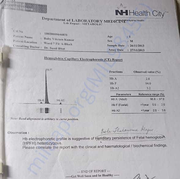 Medical Report