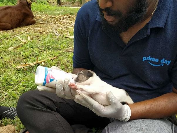 Help Animals And Livestock In Flood-Affected Areas Of Uttara Karnataka