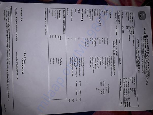 Urine report with albumin 4+
