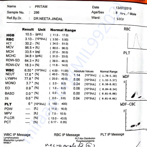 Medical Report