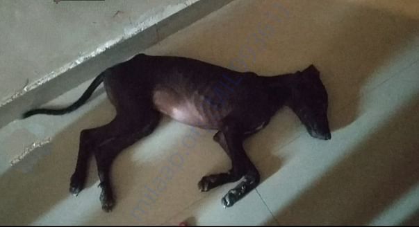 After rescue.