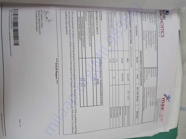 Document