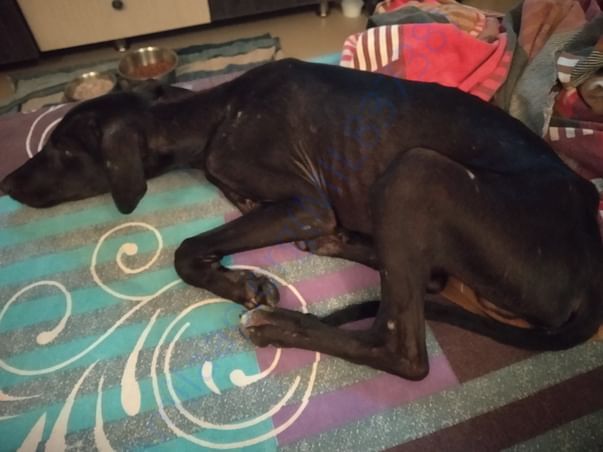 Lucky after rescue .