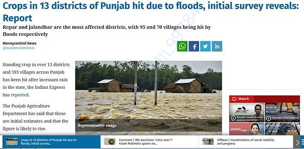 Crops in 13 districts of Punjab hit due to floods, initial survey reve