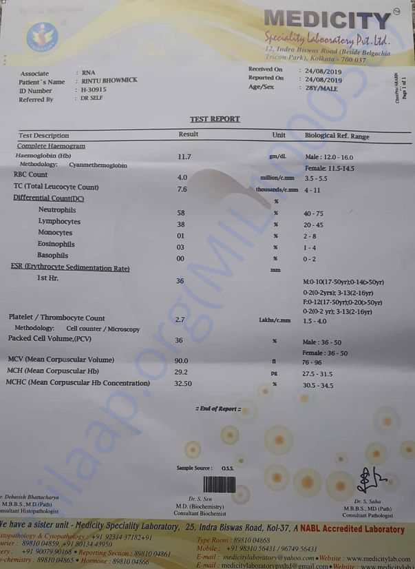 Report 7