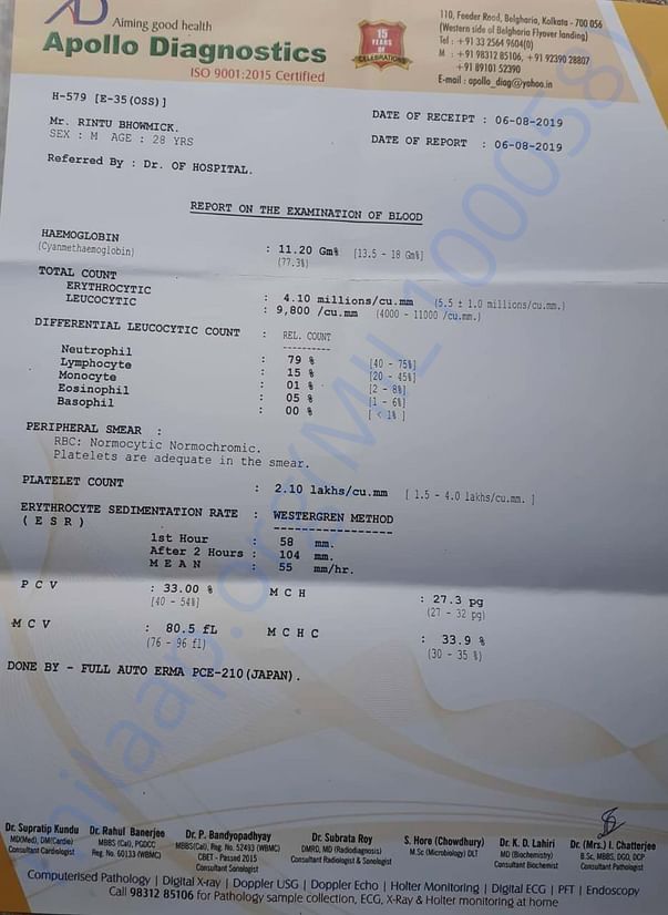 Report 11