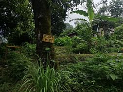 Help Us To Make Himalayan Farm Project Sustainable
