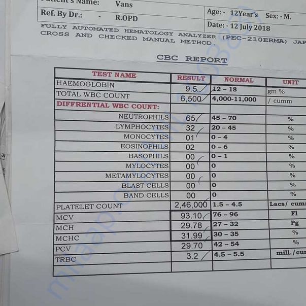 Medical Report
