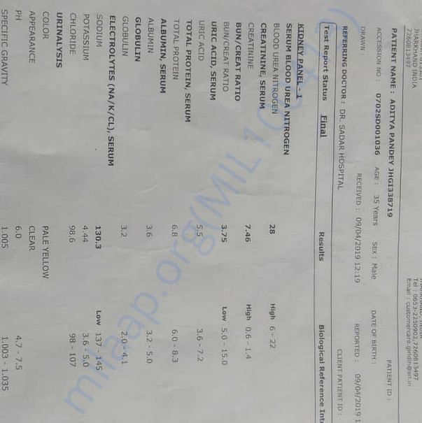 Medical Report