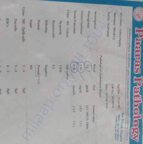 Medical Report