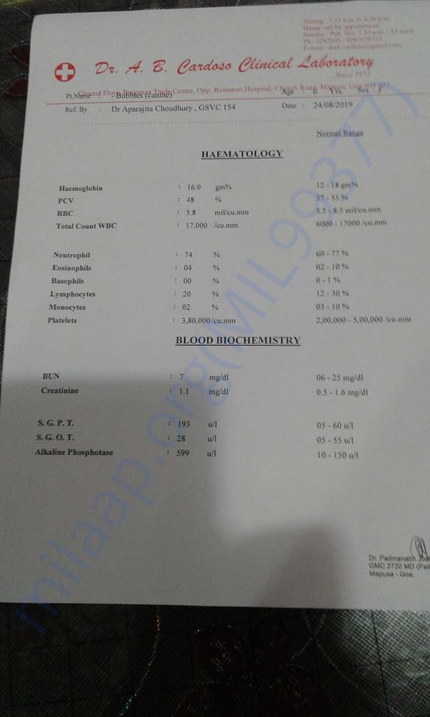 Here's doggy's blood report. Ultrasound is up next!