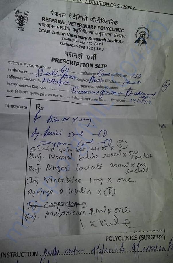 Medical requirements for one of our rescues