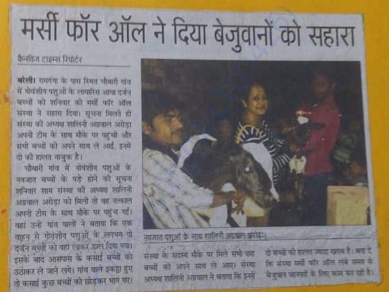 Cow rescued from butchers