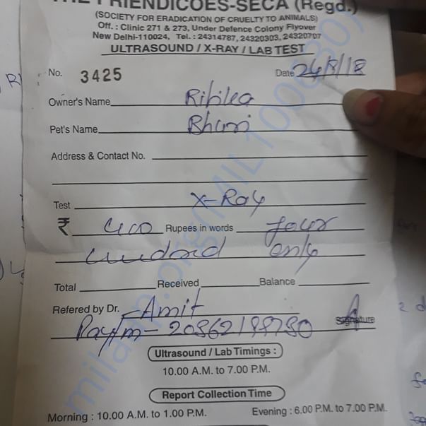 Medical Report