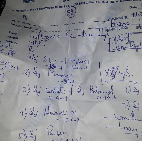 Medical Report