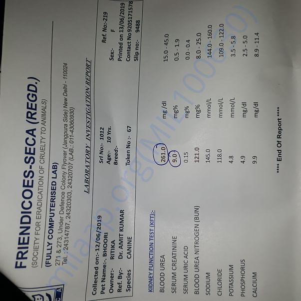 Medical Report