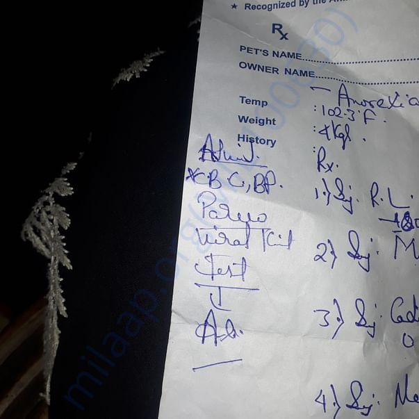 Medical Report