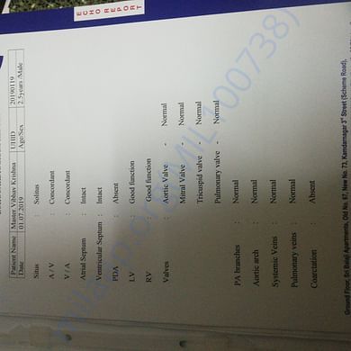 Medical Report