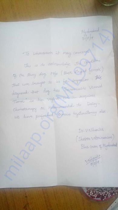 Letter from the Vet establishing the condition of the dog