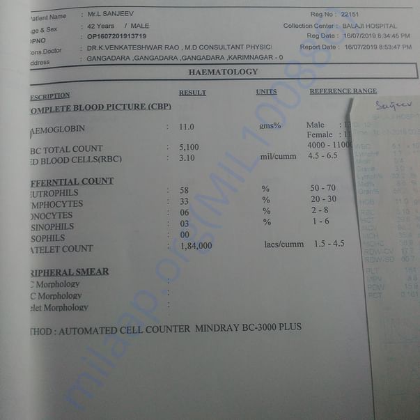 Medical Report