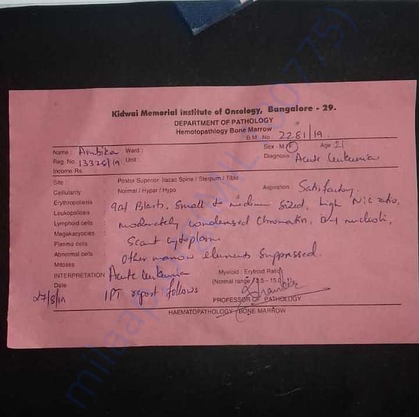 Medical Report