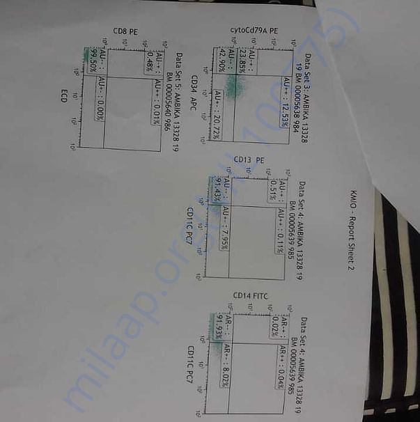 Medical Report