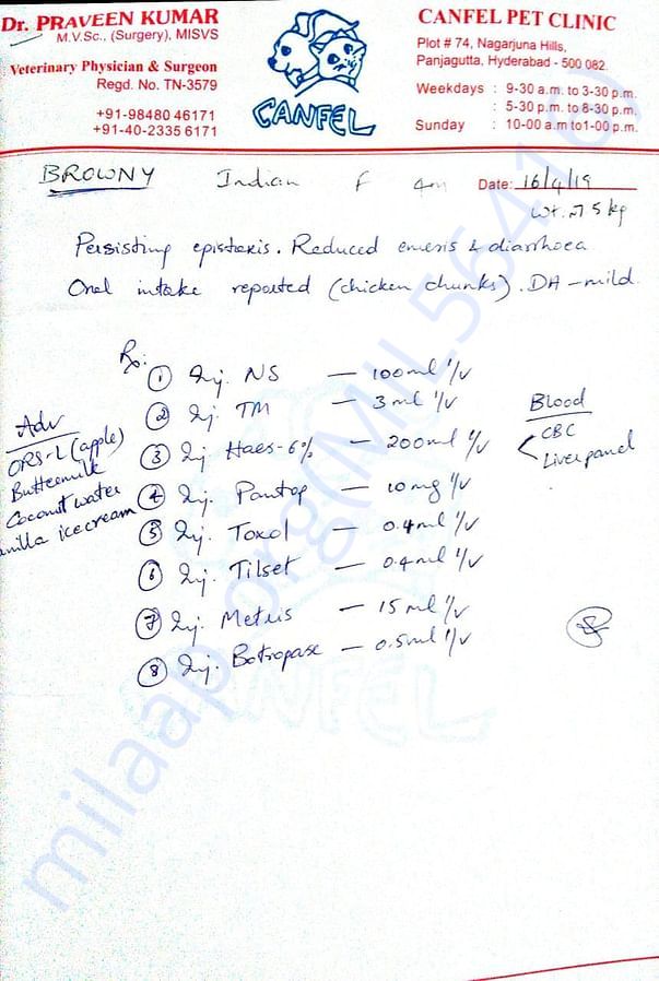 Brownie's Prescription