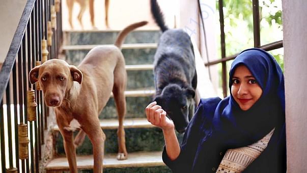 Mahreen and her Rescued dogs