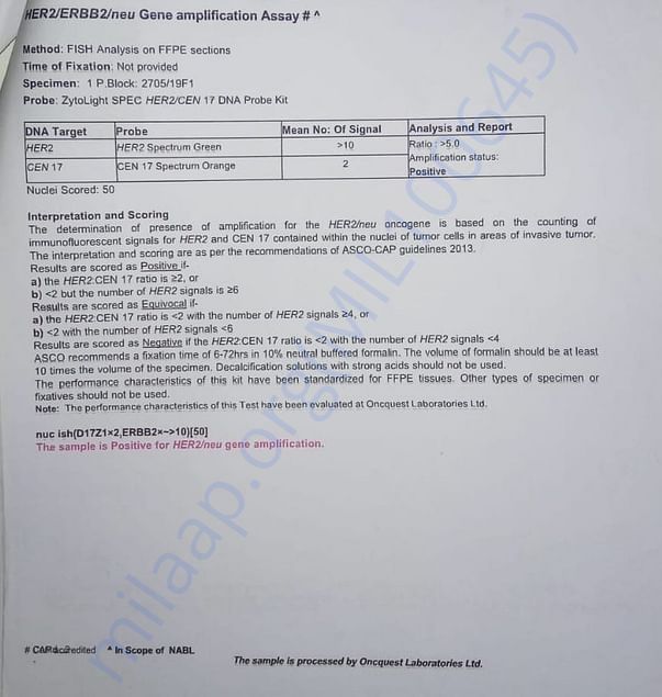 HER2 Report
