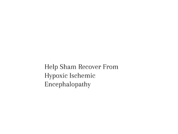 Help Shyam Recover From Drowning Hypoxic-Ischemic Encephalopathy