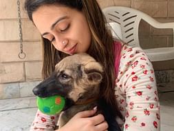 Help Mitsy Reach Her Forever Home!