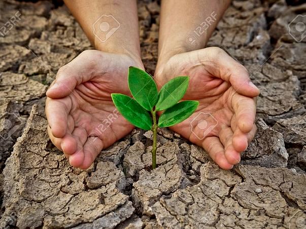 Let's Join Hands To Bring Back Greenery Of ODISHA