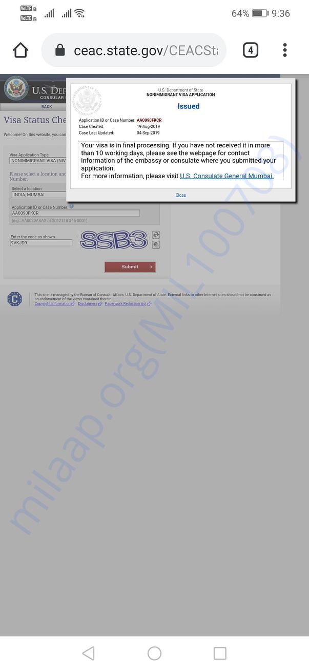 My visa status