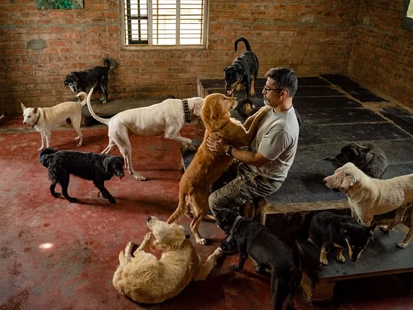 Help Rakesh take care of 850+ abandoned and injured dogs