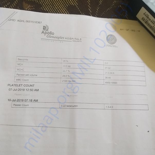 Medical Report