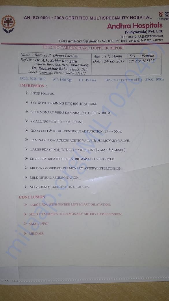 One of the report