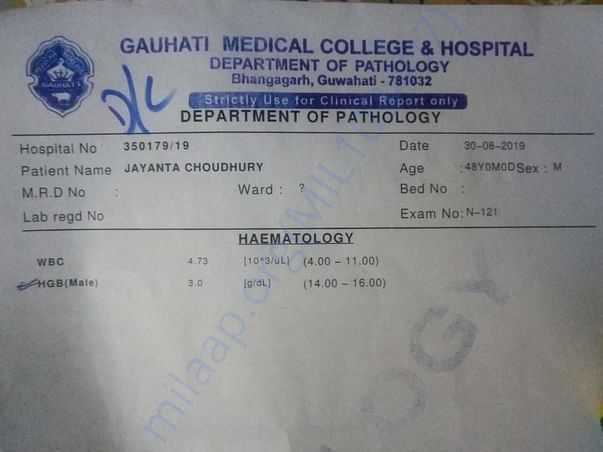 Blood Hemoglobin Report