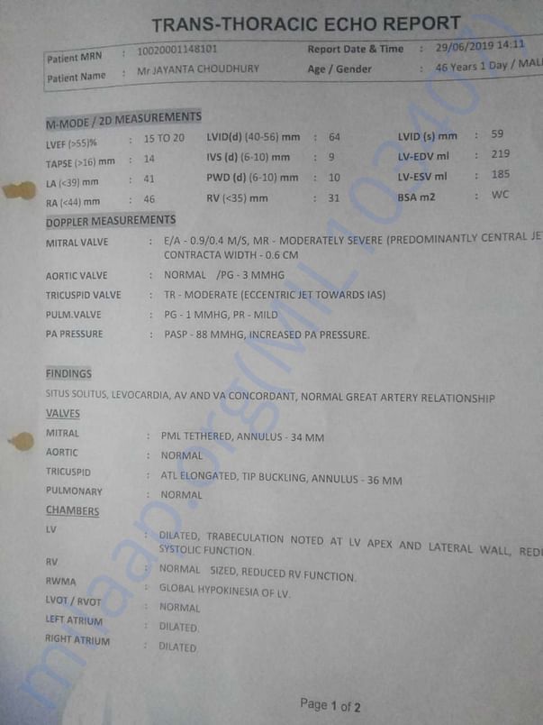 Heart Report