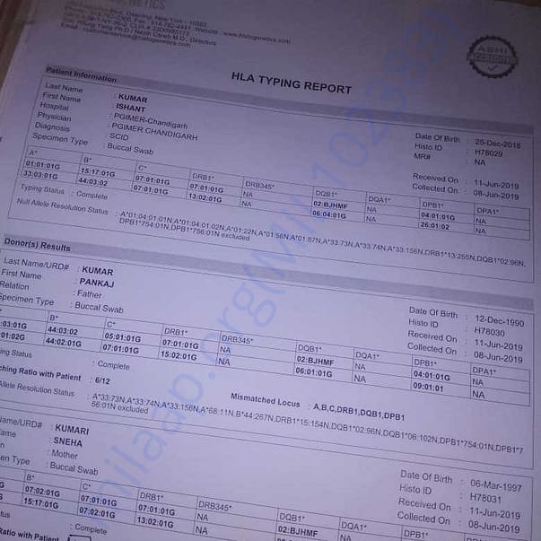 Medical Report