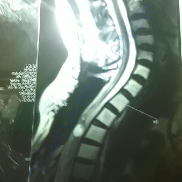 Medical Report