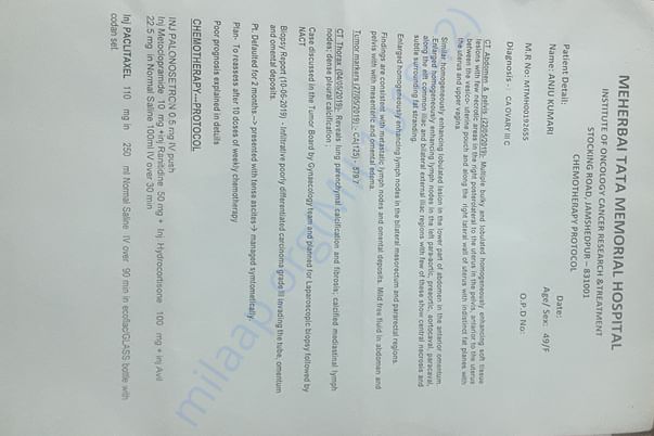 Chemotherapy Report (1/2)