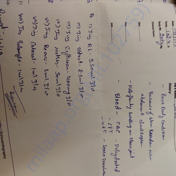 Medical Report