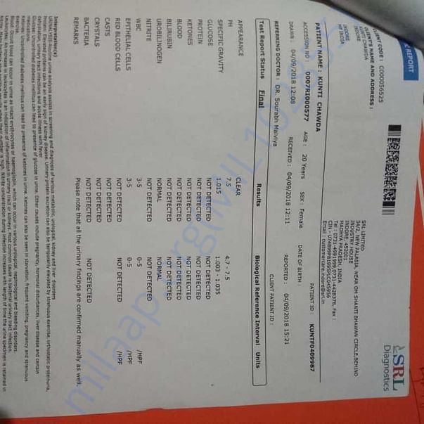 Medical Report